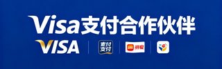 Visa 支付合作伙伴